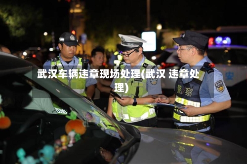 武汉车辆违章现场处理(武汉 违章处理)-第2张图片