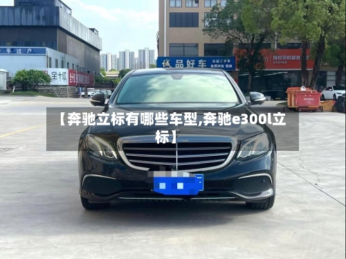 【奔驰立标有哪些车型,奔驰e300l立标】-第2张图片