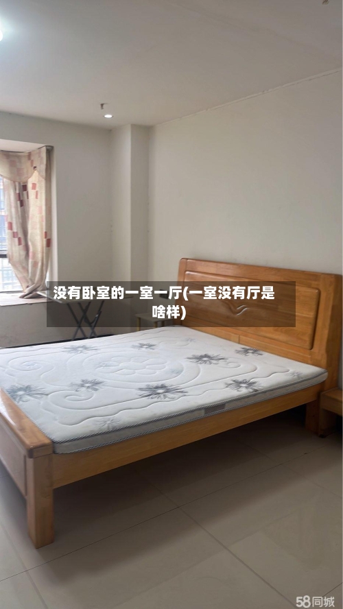 没有卧室的一室一厅(一室没有厅是啥样)