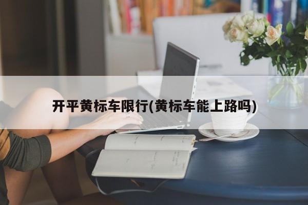 开平黄标车限行(黄标车能上路吗)