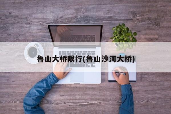 鲁山大桥限行(鲁山沙河大桥)
